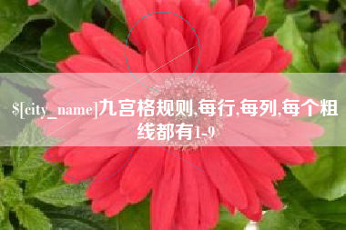 延边九宫格规则,每行,每列,每个粗线都有1-9