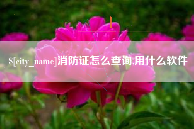 延边消防证怎么查询,用什么软件