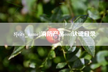 延边消防产品cccf认证目录