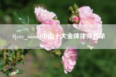 延边中国十大金牌律师名单