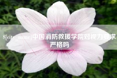 延边中国消防救援学院对视力要求严格吗