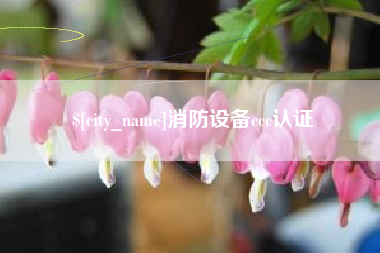 延边消防设备ccc认证