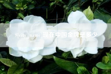 延边现在中国金牌是多少