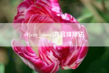 延边九宫排除法