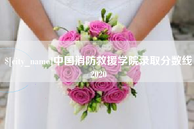 延边中国消防救援学院录取分数线2020