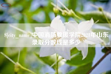 延边中国消防救援学院2021年山东录取分数线是多少