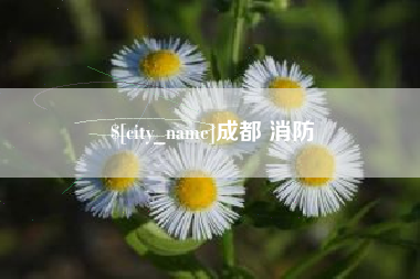 延边成都 消防