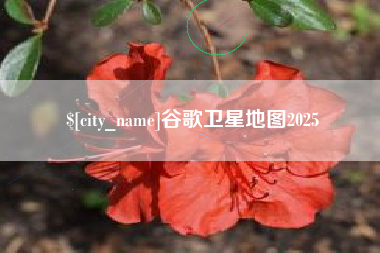 延边谷歌卫星地图2025