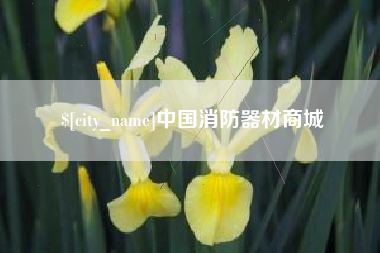 延边中国消防器材商城