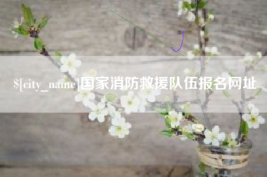 延边国家消防救援队伍报名网址