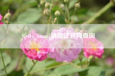 延边消控证官网查询