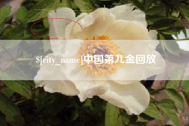 延边中国第九金回放