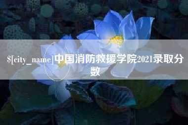 延边中国消防救援学院2021录取分数