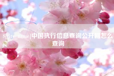 延边中国执行信息查询公开网怎么查询