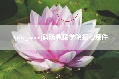 延边消防救援学院报考条件