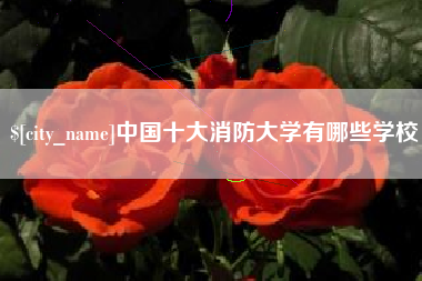 延边中国十大消防大学有哪些学校