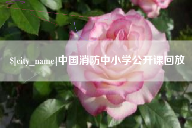 延边中国消防中小学公开课回放