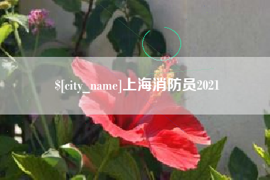 延边上海消防员2021