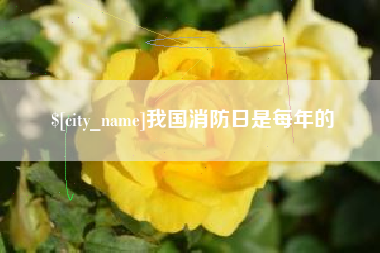 延边我国消防日是每年的