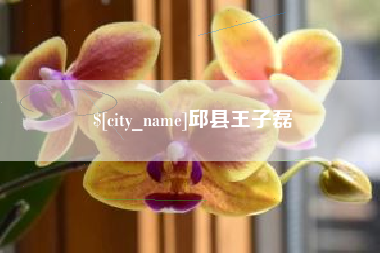 延边邱县王子磊
