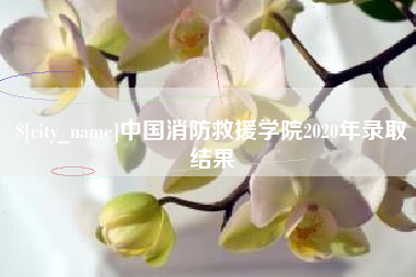 延边中国消防救援学院2020年录取结果