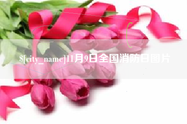 延边11月9日全国消防日图片