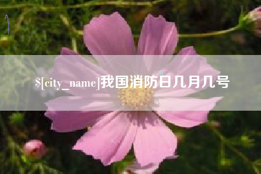 延边我国消防日几月几号