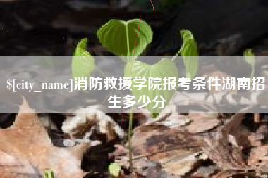 延边消防救援学院报考条件湖南招生多少分