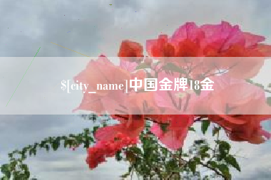 延边中国金牌18金
