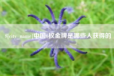 延边中国6枚金牌是哪些人获得的