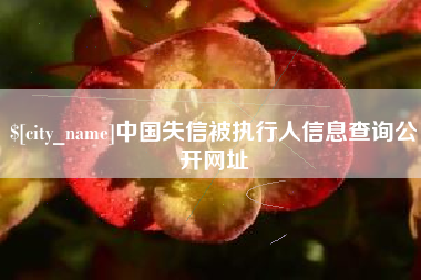 延边中国失信被执行人信息查询公开网址
