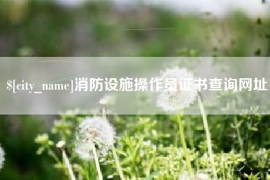 延边消防设施操作员证书查询网址