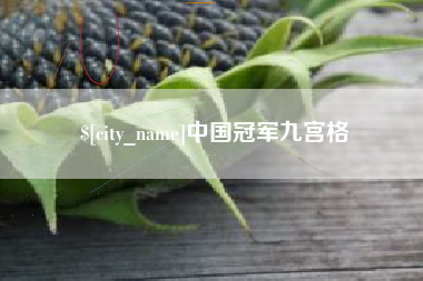 延边中国冠军九宫格