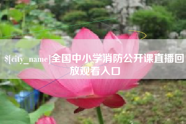 延边全国中小学消防公开课直播回放观看入口