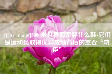 延边5000米世界冠军穿什么鞋-它们是运动员取得优异成绩背后的重要“功臣”