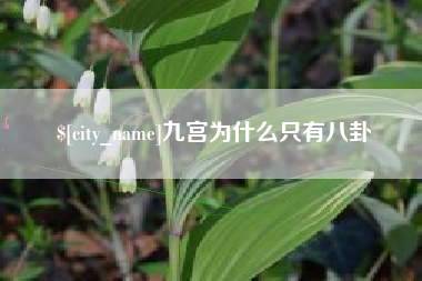 延边九宫为什么只有八卦