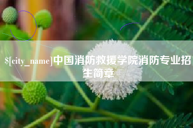 延边中国消防救援学院消防专业招生简章