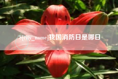 延边我国消防日是哪日