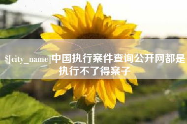 延边中国执行案件查询公开网都是执行不了得案子
