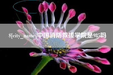 延边中国消防救援学院是985吗