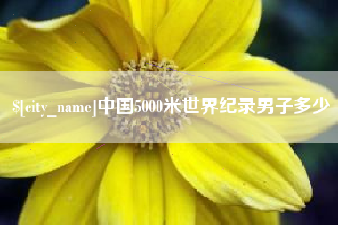 延边中国5000米世界纪录男子多少