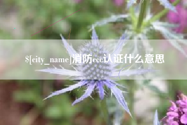 延边消防ccc认证什么意思