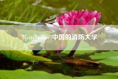 延边中国的消防大学