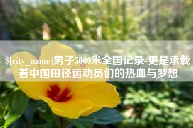 延边男子5000米全国记录-更是承载着中国田径运动员们的热血与梦想