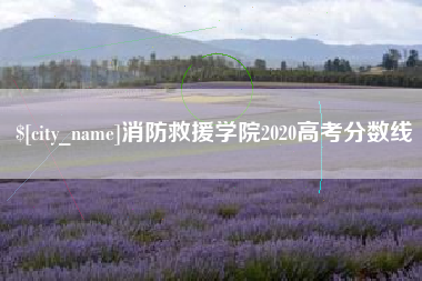 延边消防救援学院2020高考分数线