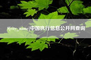 延边中国执行信息公开网查询
