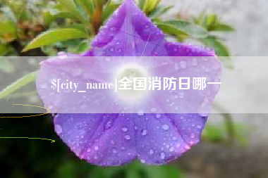 延边全国消防日哪一