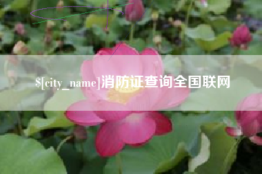 延边消防证查询全国联网