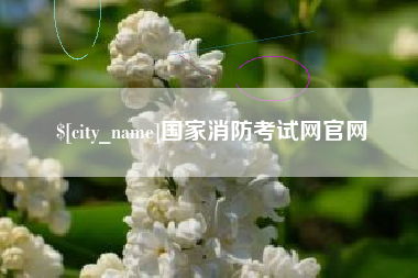 延边国家消防考试网官网