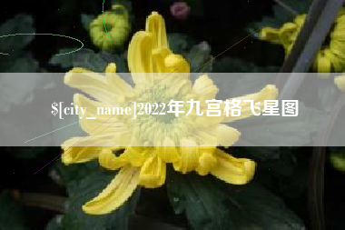 延边2022年九宫格飞星图